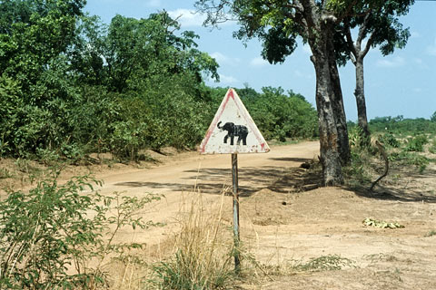 https://www.transafrika.org/media/Bilder Ghana/schild-elefant-ghana.jpg
